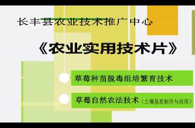 農業實用技術片草莓種苗脫毒組培繁育和自然農法技術